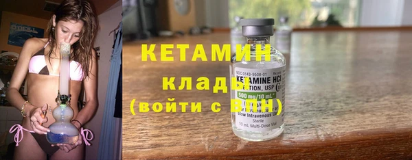 шишки Богородицк