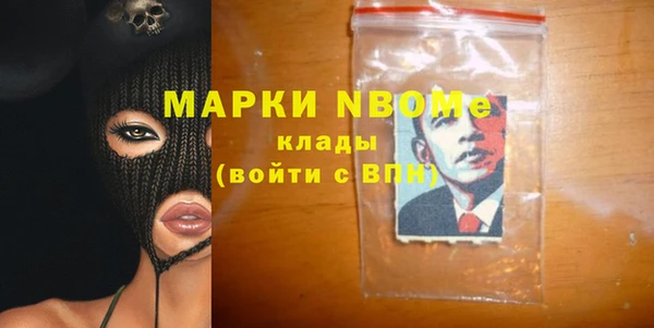 шишки Богородицк