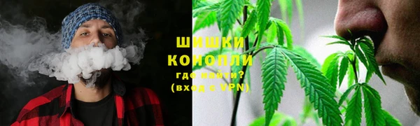 шишки Богородицк