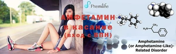 шишки Богородицк