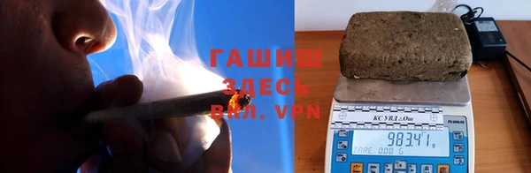 шишки Богородицк