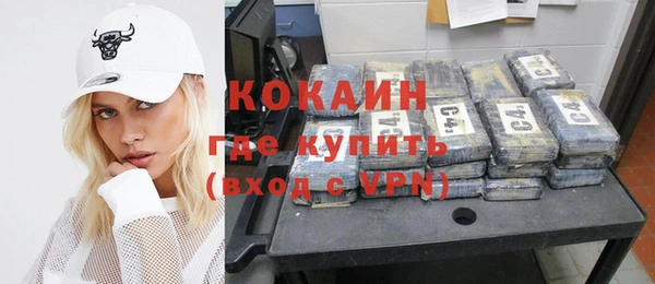 шишки Богородицк