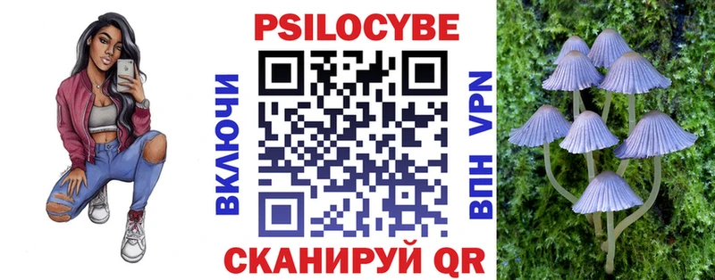 где можно купить Духовщина кракен как зайти Псилоцибиновые грибы GOLDEN TEACHER